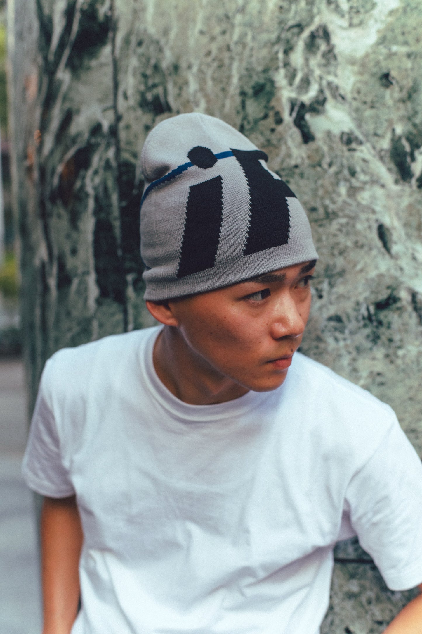iP LOGO Beanie