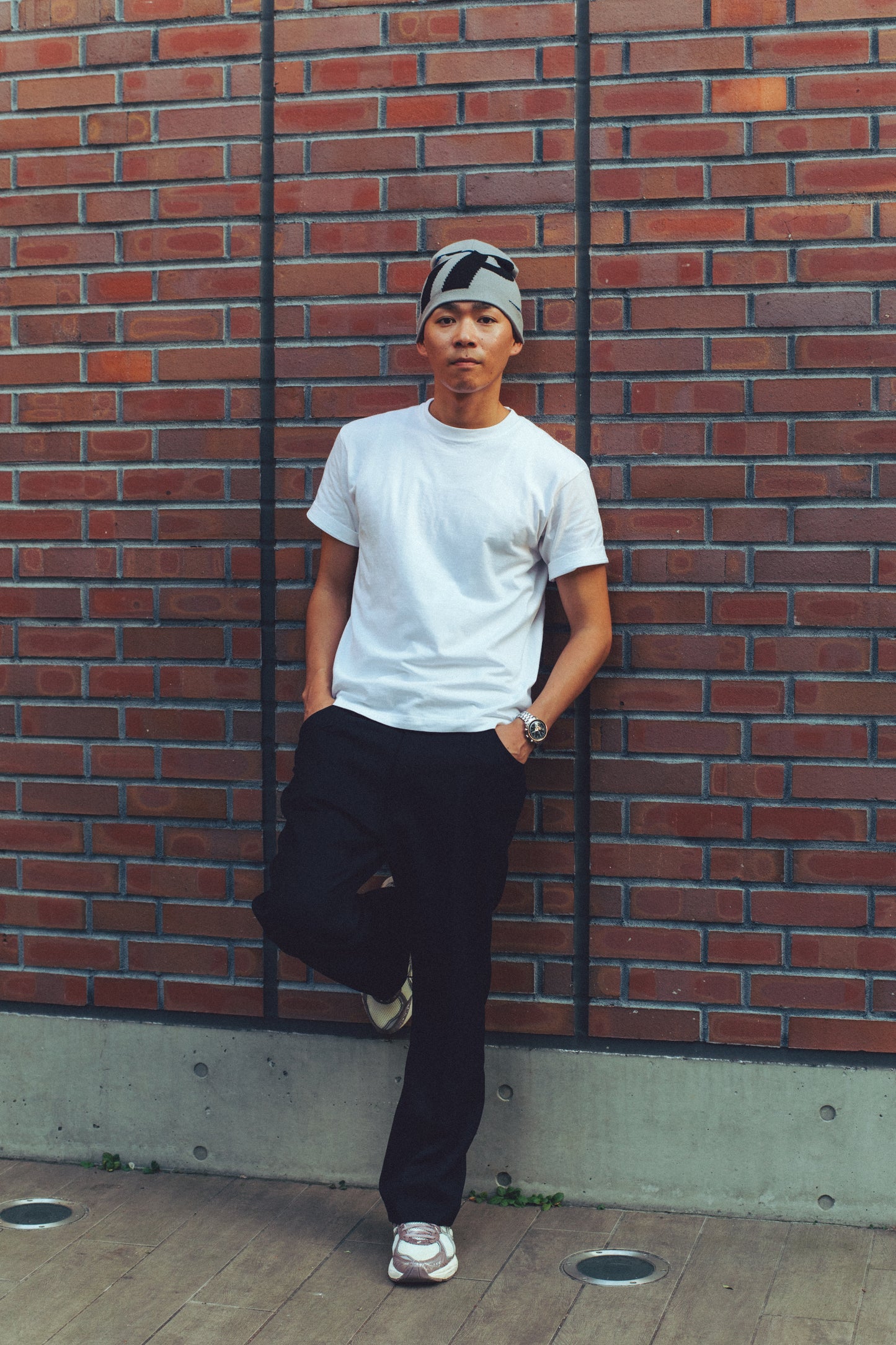 iP LOGO Beanie